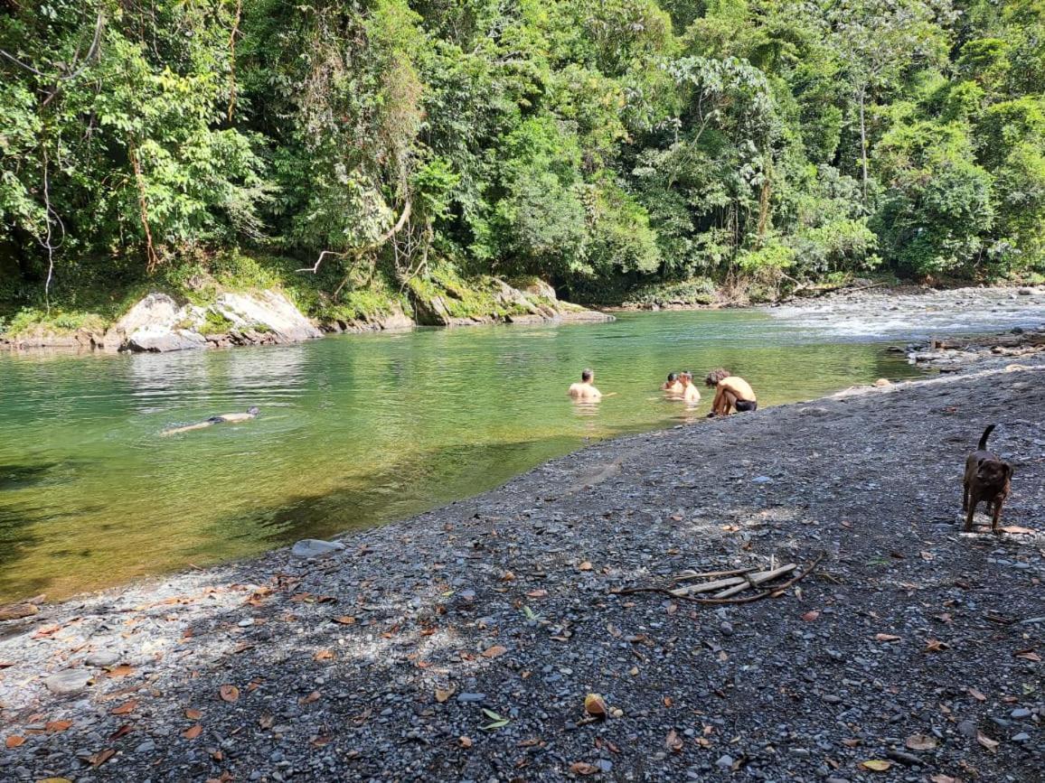 Refugio Natural Jacaranda Con Playa Privada * Cocorna